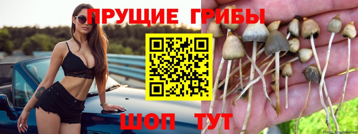 Псилоцибиновые грибы ЛСД Черкесск