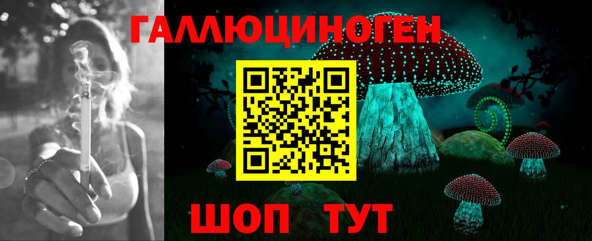 Галлюциногенные грибы Cubensis  Галлюциногенные грибы GOLDEN TEACHER  Черкесск  Вход с VPN 